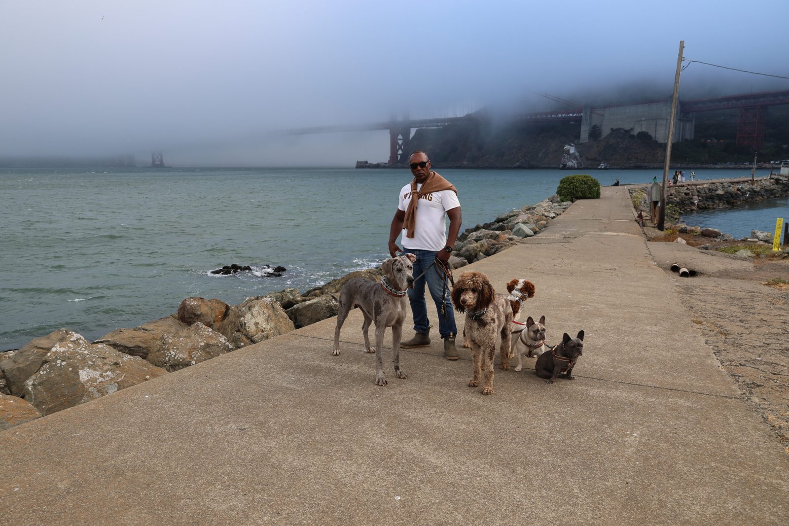 Dog walker standing with a structured group of dogs beside the San Francisco Bay near the Golden Gate Bridge in Marin County California.