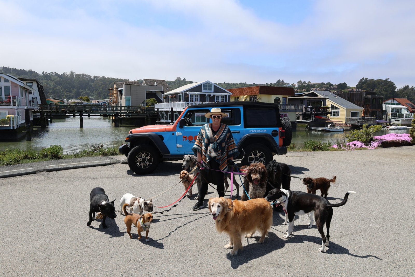 Professional dog walker with a group of dogs gathered beside a Doog Walker Jeep near the Sausalito houseboats in Marin County.