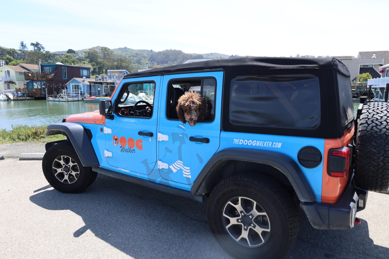 Blue Doog Walker Jeep park near Sausalito waterfront use for Structured groups dog walks in Marin County.