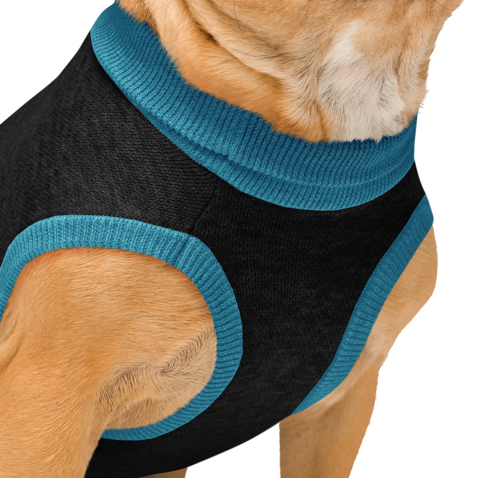 The Frenchie — Doog Walker Dog Sweater - Image 4